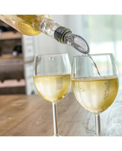 Wine Cooler with Aerator InnovaGoods