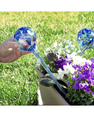 Automatic Watering Globes Aqua·Loon InnovaGoods 2 Units