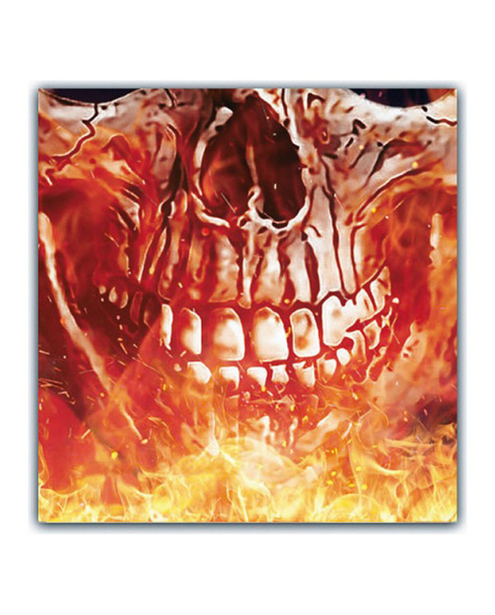 Hygienic Reusable Fabric Mask Adult Male Demon