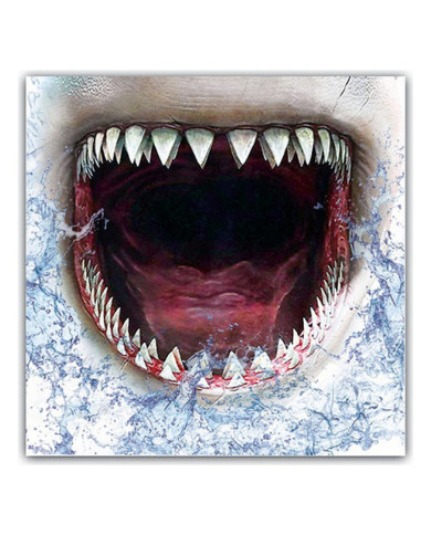 Hygienic Reusable Fabric Mask 6-9 years Shark