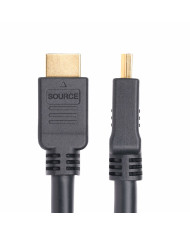 USB Cable Startech HD2AP-10M-HDMI-CABLE Black 10 m