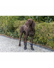 Leg protection walker Trixie 19410