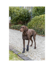 Leg protection walker Trixie 19410