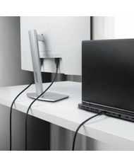 VGA Cable Startech DP14MDPMM10F Black 3 m