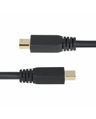 VGA Cable Startech DP14MDPMM10F Black 3 m