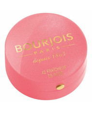 Blush Little Round Bourjois
