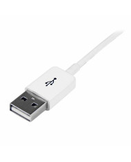 USB Cable Startech USBEXTPAA1MW         White