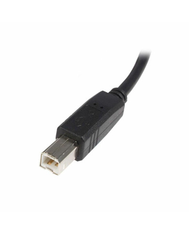 USB A to USB B Cable Startech USB2HAB5M            Black