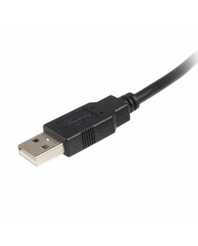 USB A to USB B Cable Startech USB2HAB5M            Black
