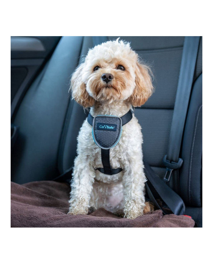 Dog Harness Company of Animals CarSafe Black XS