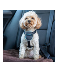 Dog Harness Company of Animals CarSafe Black XS