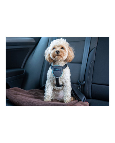 Dog Harness Company of Animals CarSafe Black XS
