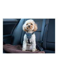 Dog Harness Company of Animals CarSafe Black XS