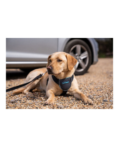Dog Harness Company of Animals CarSafe Black XS