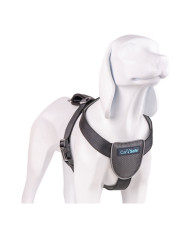 Dog Harness Company of Animals CarSafe Black XS