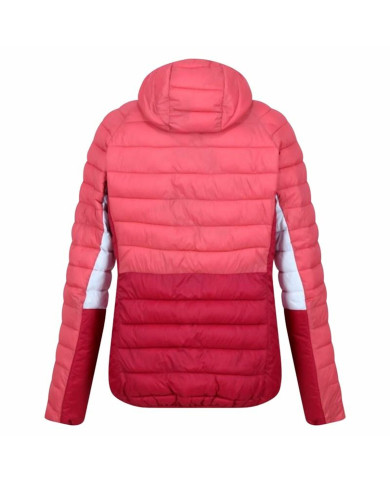 Women's Sports Jacket Regatta Harrock II Rumba Pink