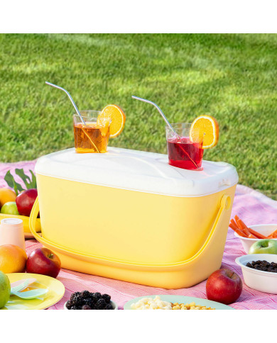 Portable Rigid Cooler Lilty InnovaGoods 15 L
