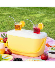 Portable Rigid Cooler Lilty InnovaGoods 15 L