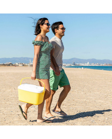 Portable Rigid Cooler Lilty InnovaGoods 15 L
