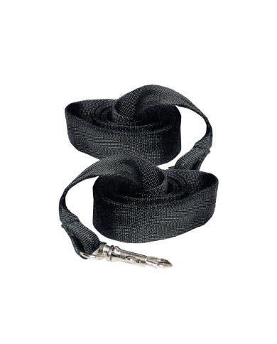 Strap Sportsheets