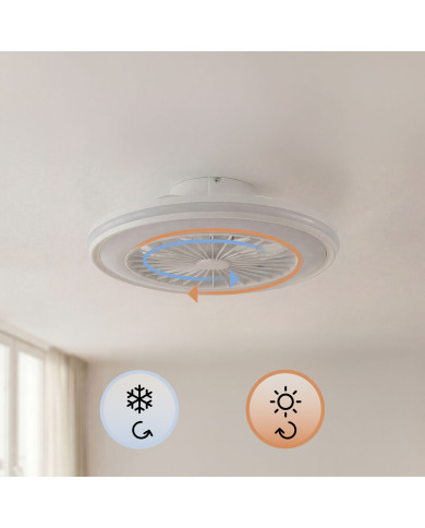 Ceiling Fan with RGB LED Light, Hidden Blades and Remote Control Nexory InnovaGoods
