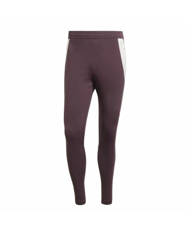 Long Sports Trousers Adidas Fc Bayern 24/25 Tiro24 Brown Maroon Men