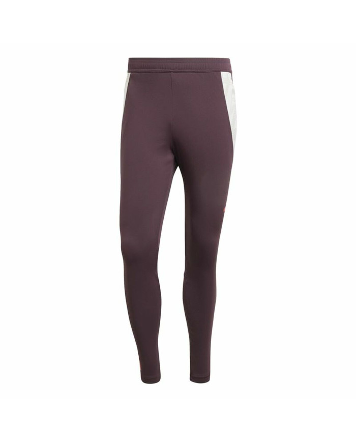 Long Sports Trousers Adidas Fc Bayern 24/25 Tiro24 Brown Maroon Men
