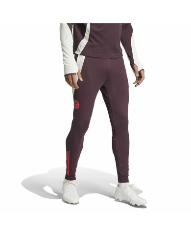 Long Sports Trousers Adidas Fc Bayern 24/25 Tiro24 Brown Maroon Men
