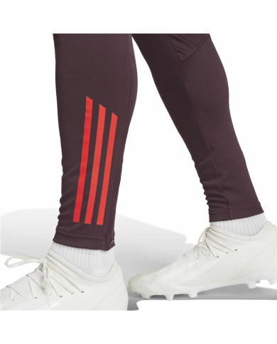 Long Sports Trousers Adidas Fc Bayern 24/25 Tiro24 Brown Maroon Men