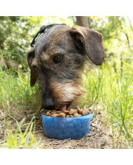 2-in-1 bottle with water and food containers for pets Pettap InnovaGoods