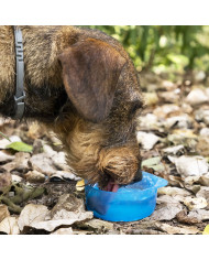 2-in-1 bottle with water and food containers for pets Pettap InnovaGoods