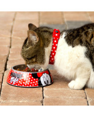 Dog Feeder Minnie Mouse Red Melamin 180 ml Black Metal