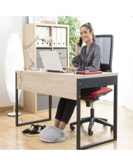 2-in-1 Electric Foot Warmer Elewa InnovaGoods