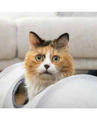 Collapsible Pet Tunnel Funnyl InnovaGoods
