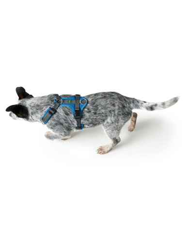 Dog Harness Hunter Maldon Up Blue 50-84 cm