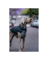 Dog Coat Red Dingo Puffer Black/Grey 25 cm