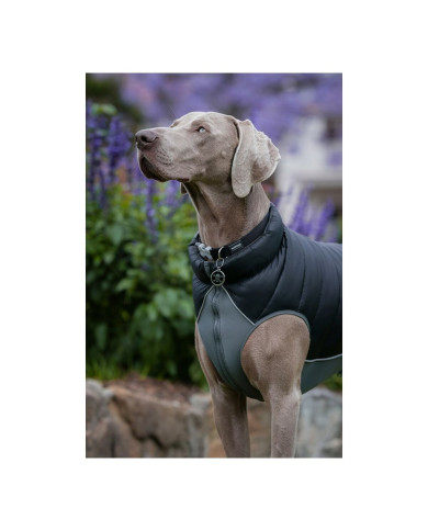 Dog Coat Red Dingo Puffer Black/Grey 25 cm