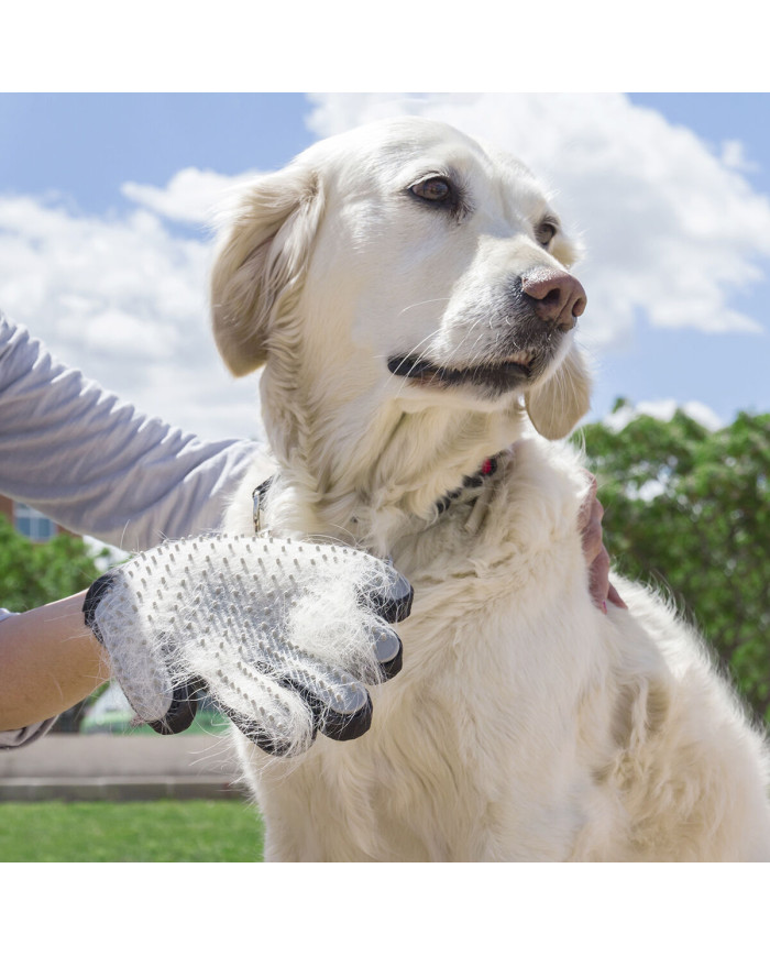 Pet Brush & Massage Glove Relpet InnovaGoods