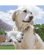 Pet Brush & Massage Glove Relpet InnovaGoods