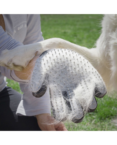 Pet Brush & Massage Glove Relpet InnovaGoods