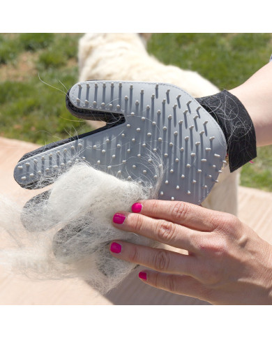 Pet Brush & Massage Glove Relpet InnovaGoods