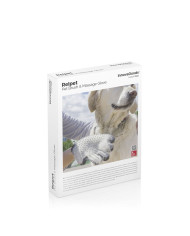 Pet Brush & Massage Glove Relpet InnovaGoods