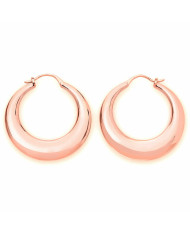 Ladies' Earrings Rosefield JBHR-J088