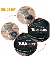 Dog Harness Julius K9 IDC Black