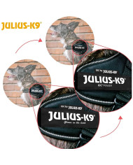 Dog Harness Julius K9 IDC Black
