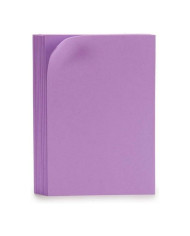 Eva Rubber Pincello Violet 20 x 30 cm 30 x 2 x 20 cm (10 Units)