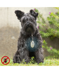 Rechargeable Ultrasound Parasite Repellent for Pets PetRep InnovaGoods