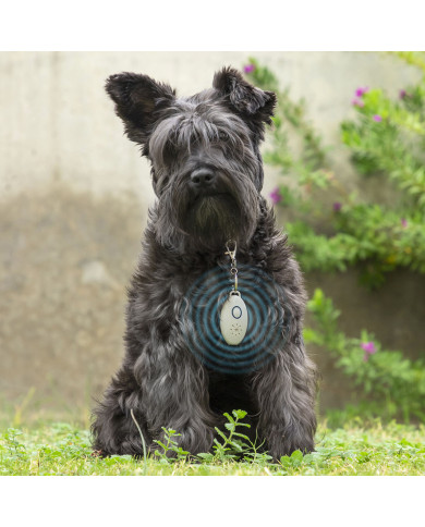 Rechargeable Ultrasound Parasite Repellent for Pets PetRep InnovaGoods