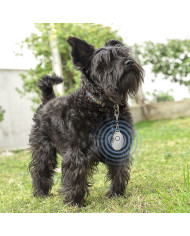 Rechargeable Ultrasound Parasite Repellent for Pets PetRep InnovaGoods