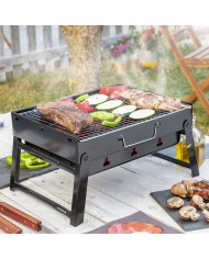 Folding Portable Barbecue for use with Charcoal BearBQ InnovaGoods